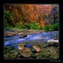 zion1.jpg